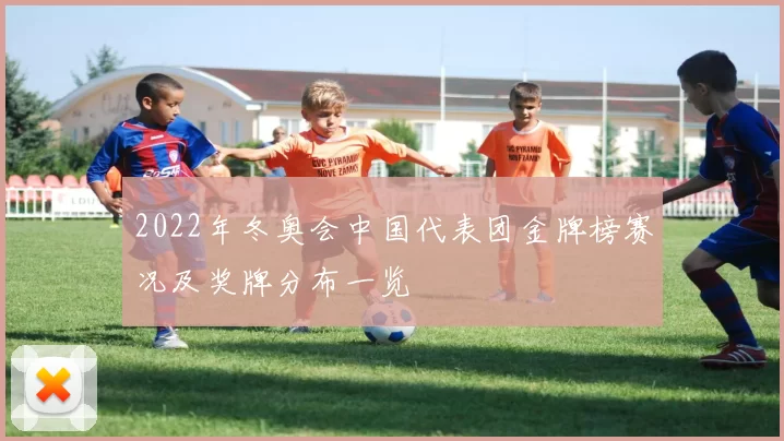 2022年冬奥会中国代表团金牌榜赛况及奖牌分布一览