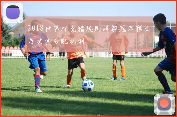 2018世界杯竞猜规则详解冠军预测与奖金分配机制