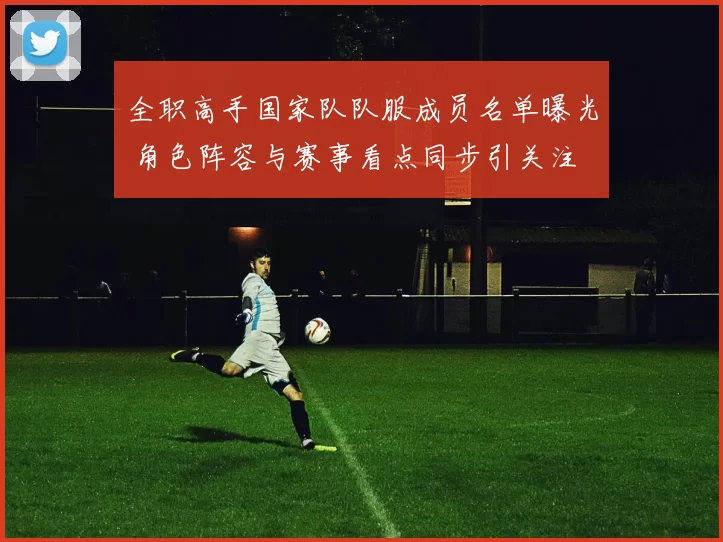 全职高手国家队队服成员名单曝光 角色阵容与赛事看点同步引关注