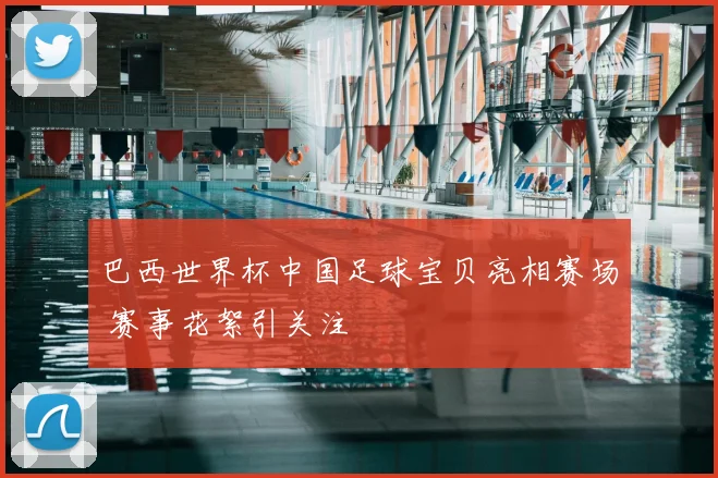 巴西世界杯中国足球宝贝亮相赛场 赛事花絮引关注