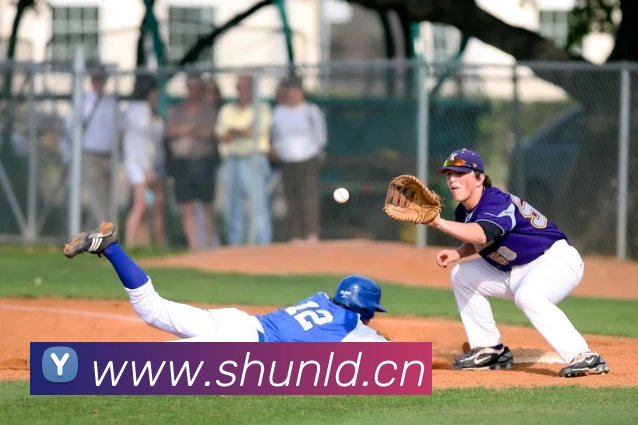 App Interface Preview